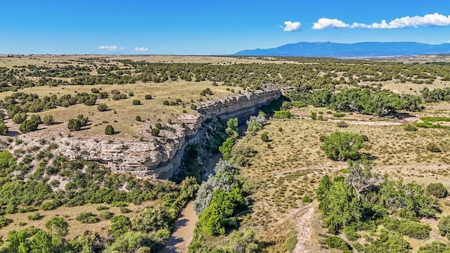 bird's eye view featuring a mountain view