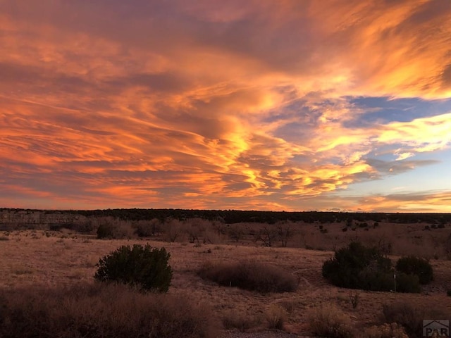 view of nature at dusk