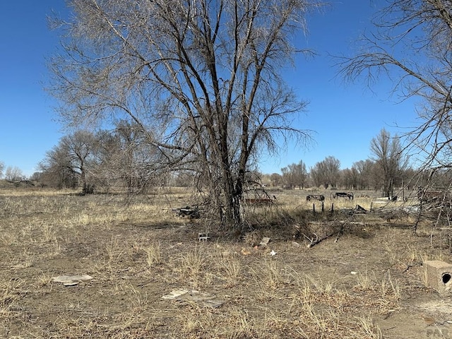 view of local wilderness with a rural view