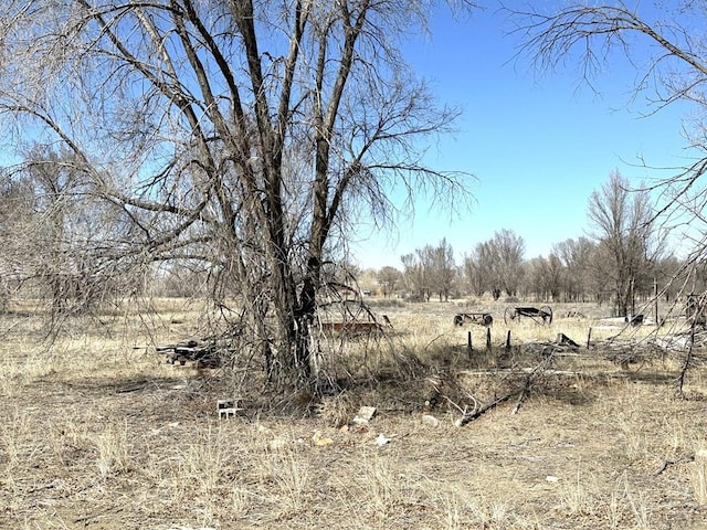 view of nature with a rural view