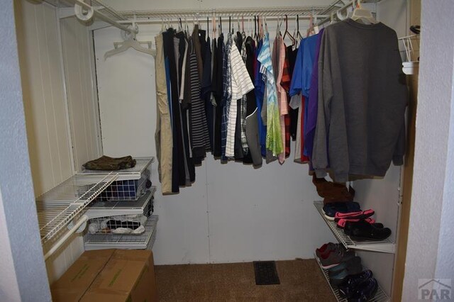 view of spacious closet