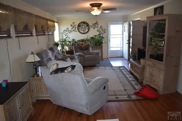 living area featuring ceiling fan, ornamental molding, and wood finished floors