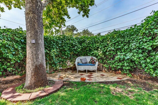 2631 Cedar St, Pueblo, CO 81004 - view of green lawn featuring a patio area