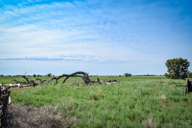5304 Ln 13, Ordway, CO 81063 - photo 30