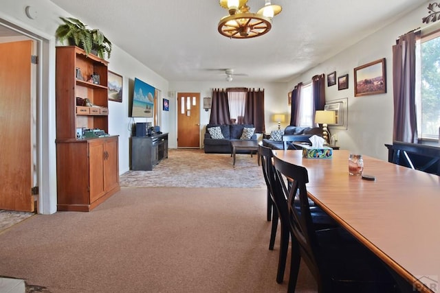5304 Ln 13, Ordway, CO 81063 - photo 17