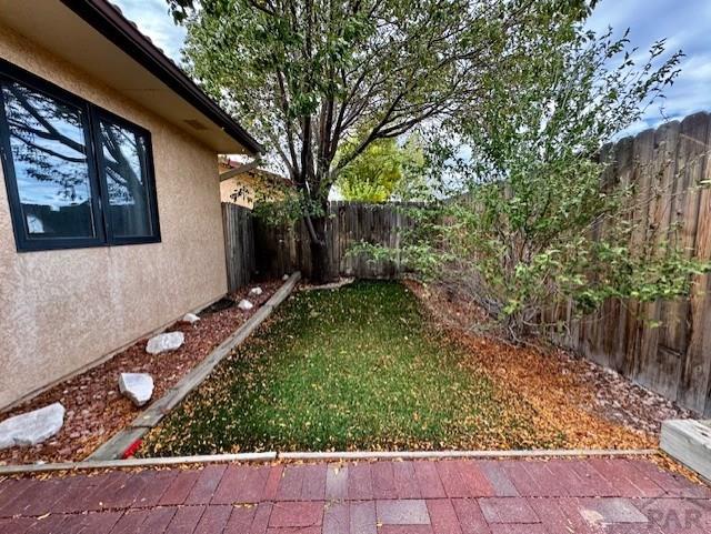 view of yard with a patio area and a fenced backyard