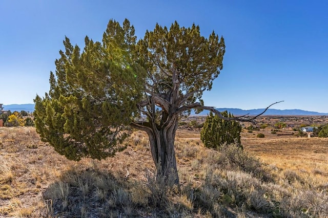 view of mountain feature with a rural view