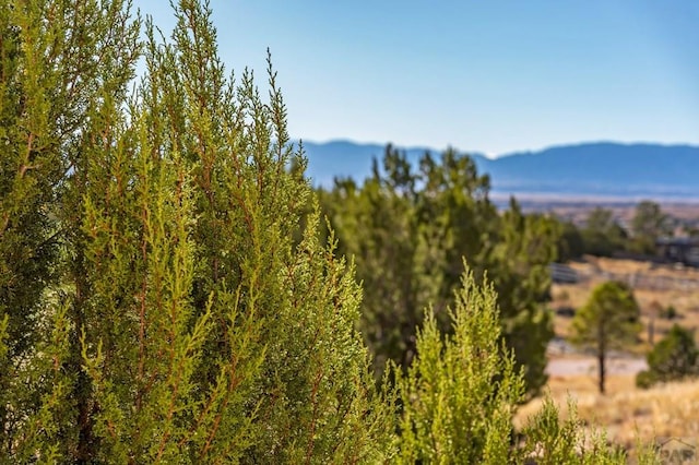 view of mountain feature