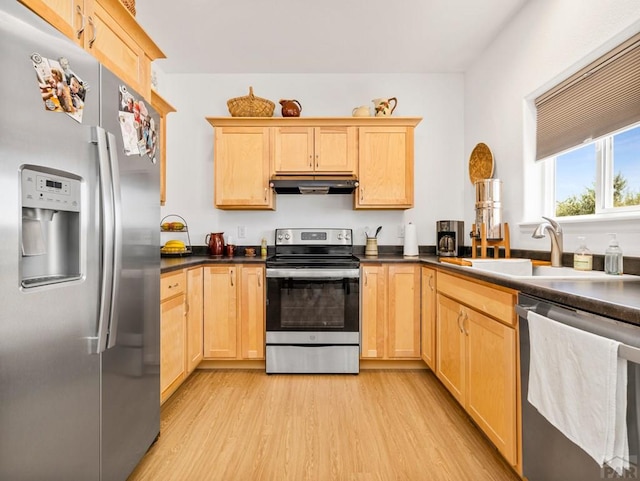 985 S Coral Ln, Pueblo West, CO 81007 - photo 7