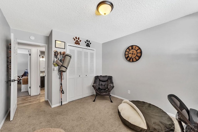 living area with a textured ceiling, baseboards, and carpet floors