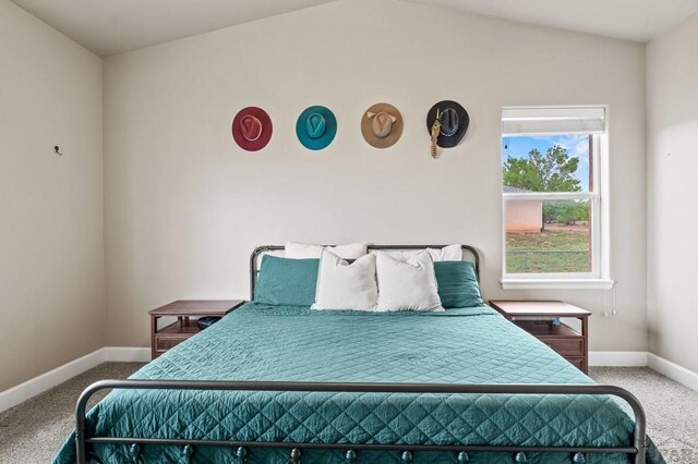 1140 E Dove Creek Dr, Pueblo West, CO 81007 - photo 21