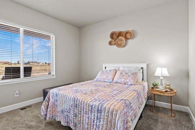1140 E Dove Creek Dr, Pueblo West, CO 81007 - photo 5