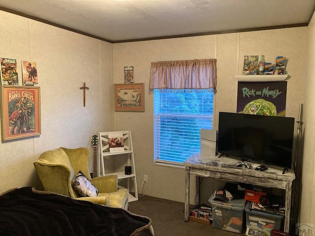 interior space featuring carpet and crown molding