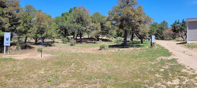 view of yard with driveway