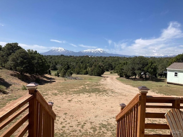view of yard featuring a rural view and a mountain view