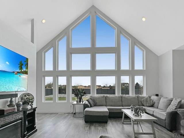 living area featuring baseboards, wood finished floors, and high vaulted ceiling
