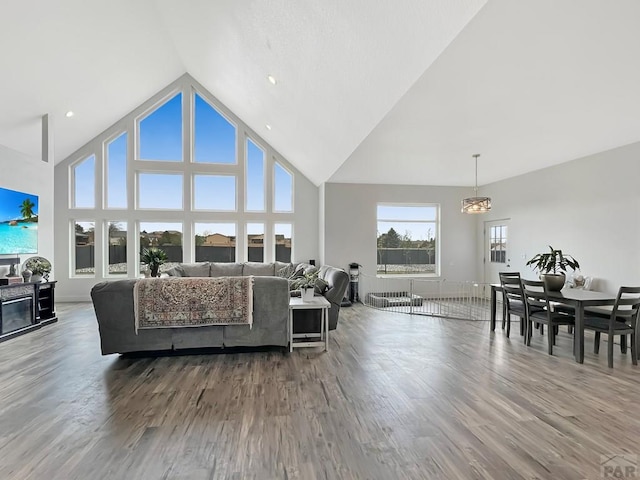 living area featuring wood finished floors and high vaulted ceiling
