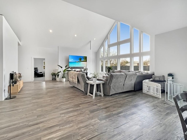 living room featuring light wood finished floors and high vaulted ceiling