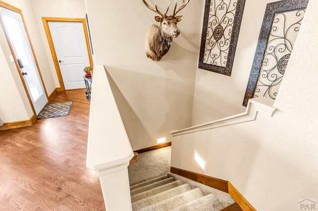 925 S Camino Santiago Dr, Pueblo West, CO 81007 - photo 33