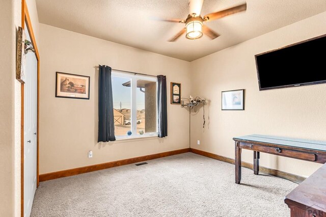 925 S Camino Santiago Dr, Pueblo West, CO 81007 - photo 31