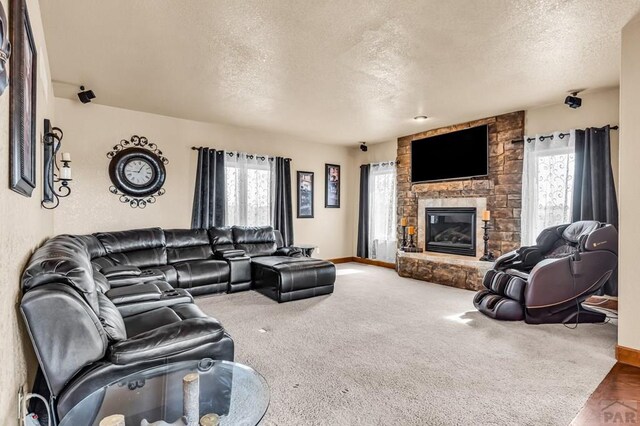 925 S Camino Santiago Dr, Pueblo West, CO 81007 - photo 12