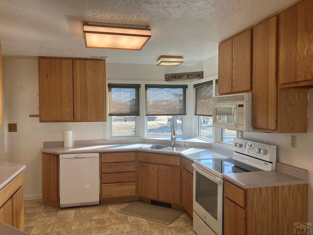 kitchen with brown cabinets, light countertops, a sink, a textured ceiling, and white appliances