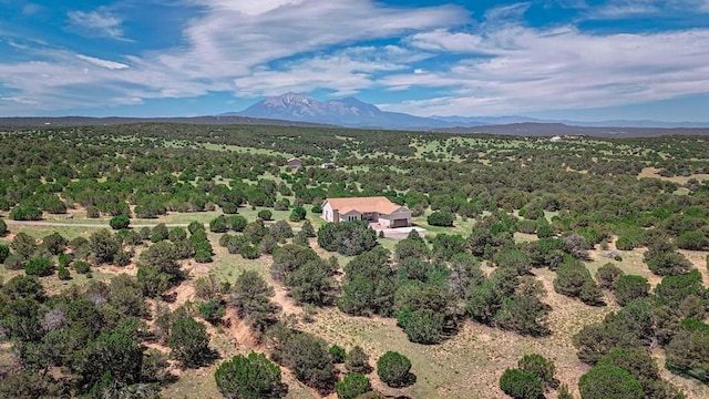 aerial view with a mountain view