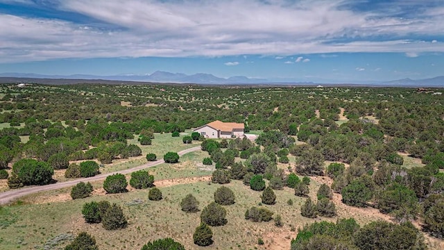 bird's eye view featuring a mountain view