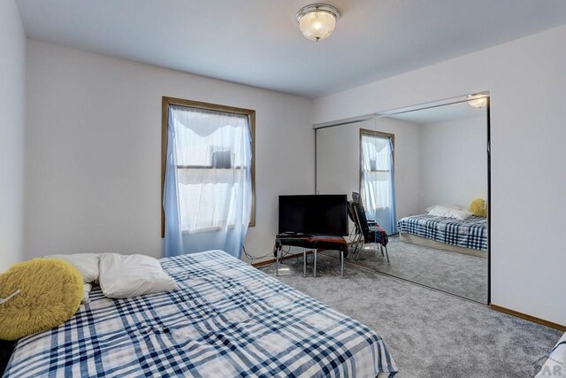 bedroom featuring multiple windows, a closet, carpet, and baseboards