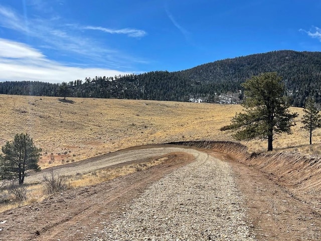 Listing photo 3 for 5950 Eagle Springs Rd, Westcliffe CO 81252