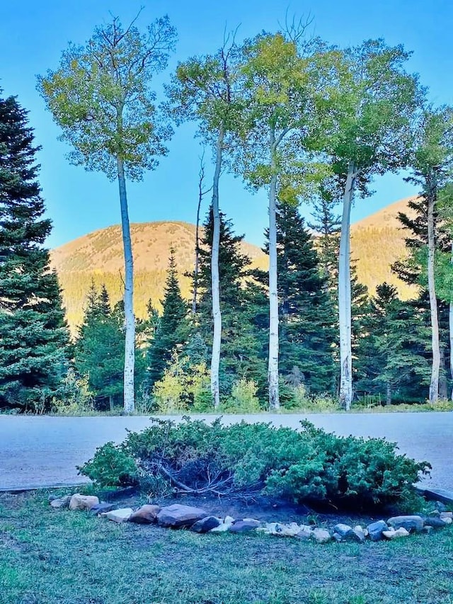 44 Valley Vista Rd Unit 35, Cuchara, CO 81055 - view of yard featuring a mountain view and a view of trees
