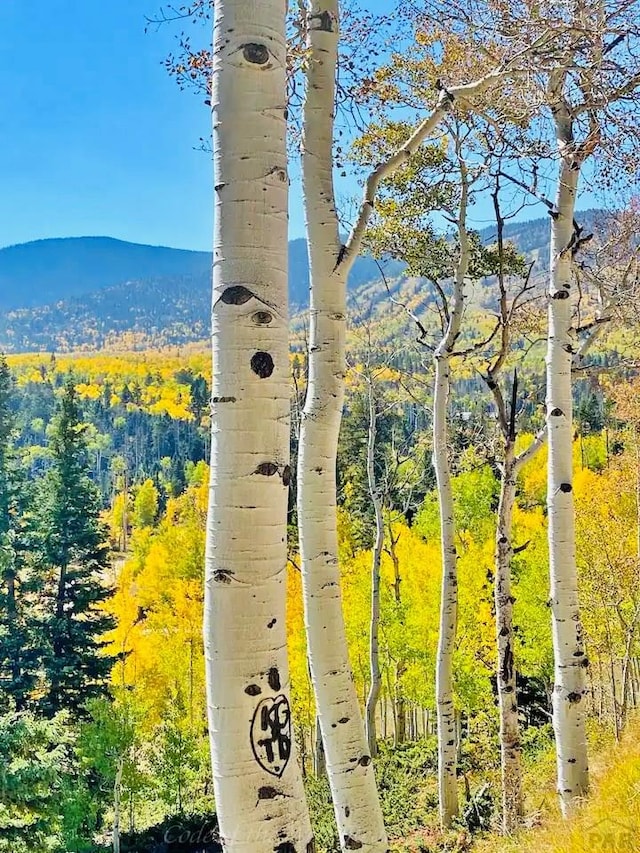 44 Valley Vista Rd Unit 35, Cuchara, CO 81055 - exterior details with a view of trees