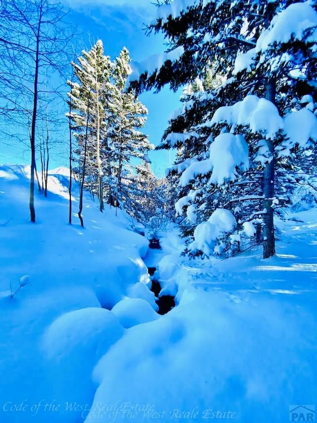 44 Valley Vista Rd Unit 35, Cuchara, CO 81055 - view of snowy yard