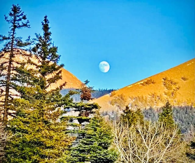 44 Valley Vista Rd Unit 35, Cuchara, CO 81055 - photo 32