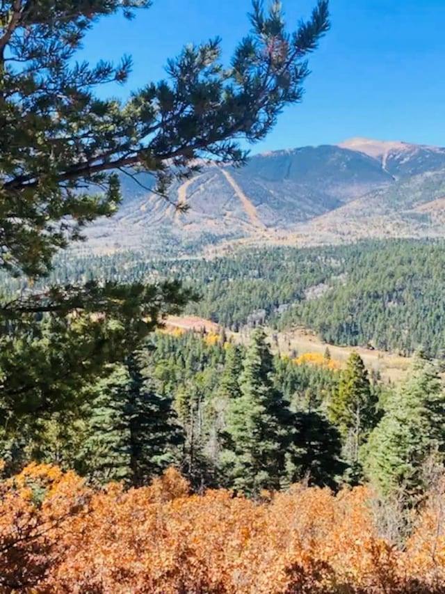 44 Valley Vista Rd Unit 35, Cuchara, CO 81055 - view of mountain feature with a forest view