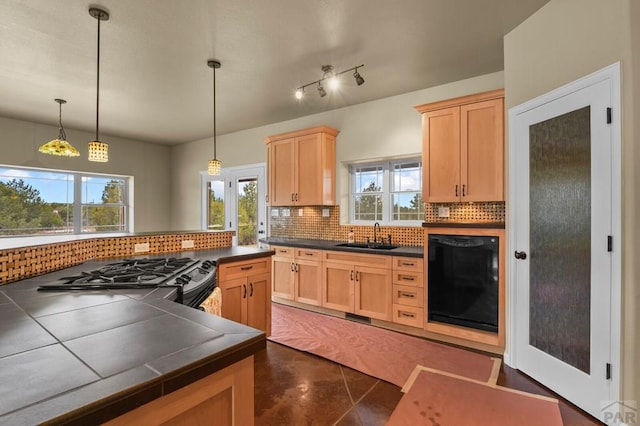 7120 Salt Creek Rd, Pueblo, CO 81004 - photo 10