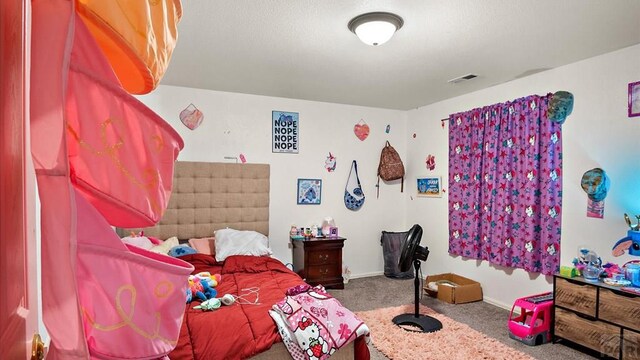 765 S Sterling Dr, Pueblo, CO 81007 - photo 22