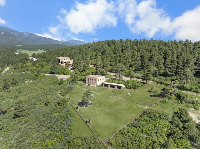 8221 Cuerna Verde Rd, Rye, CO 81069 - photo 3