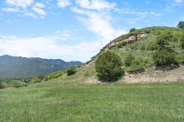 8221 Cuerna Verde Rd, Rye, CO 81069 - photo 48