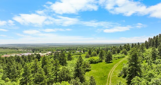 8221 Cuerna Verde Rd, Rye, CO 81069 - photo 50