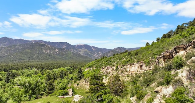 8221 Cuerna Verde Rd, Rye, CO 81069 - photo 49