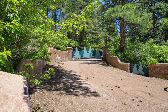 8221 Cuerna Verde Rd, Rye, CO 81069 - photo 5