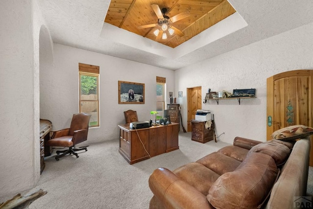 8221 Cuerna Verde Rd, Rye, CO 81069 - photo 29