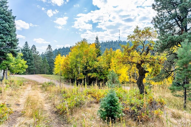 view of local wilderness featuring a view of trees