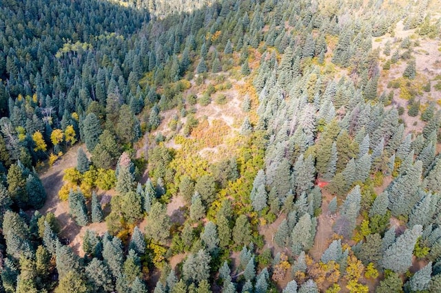 drone / aerial view featuring a view of trees