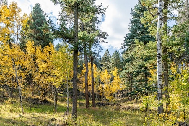 view of nature with a view of trees