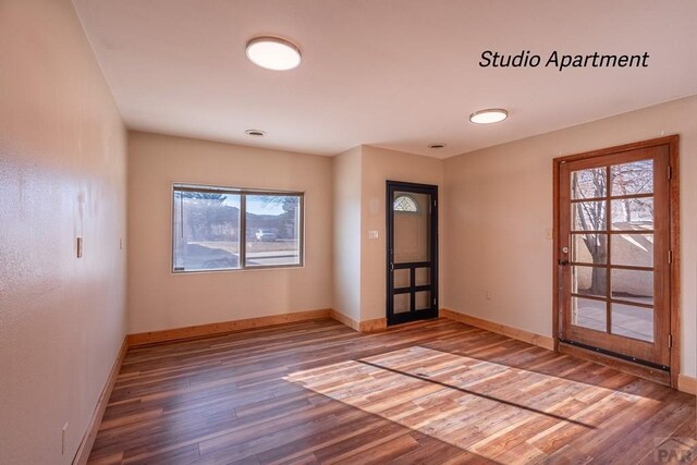 spare room featuring a healthy amount of sunlight, baseboards, and wood finished floors