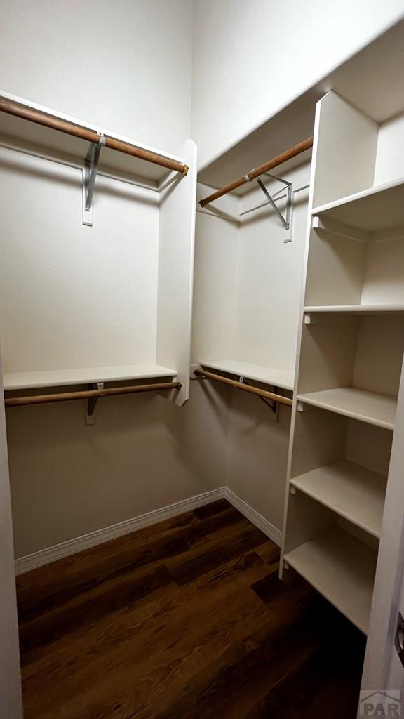 spacious closet featuring dark wood-type flooring