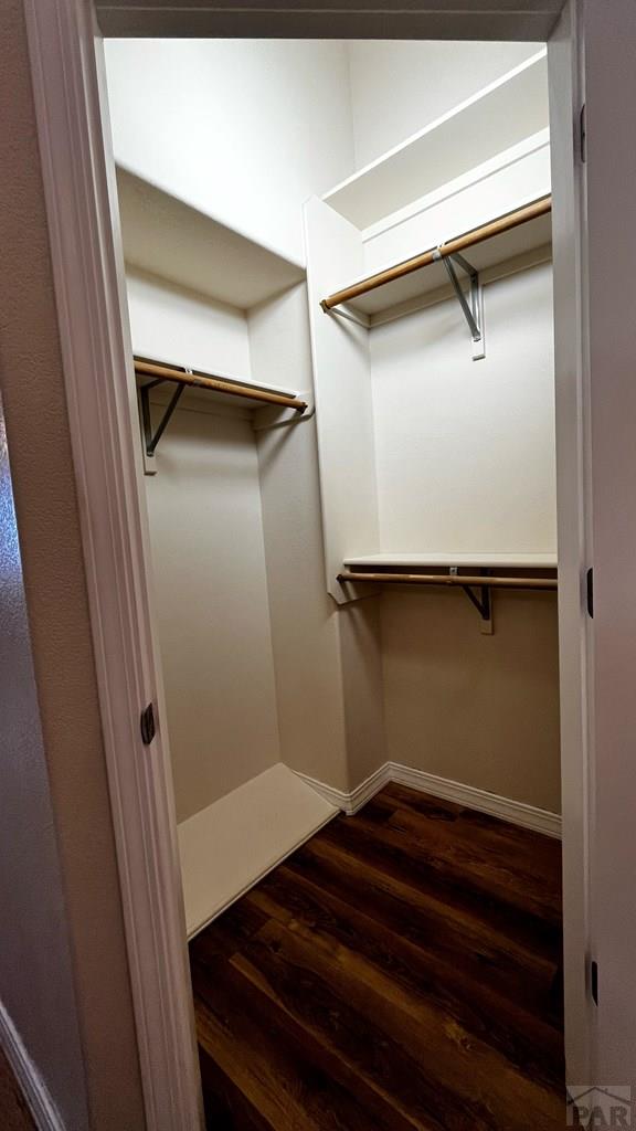 spacious closet with dark wood-type flooring