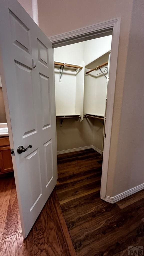 walk in closet featuring dark wood-style floors